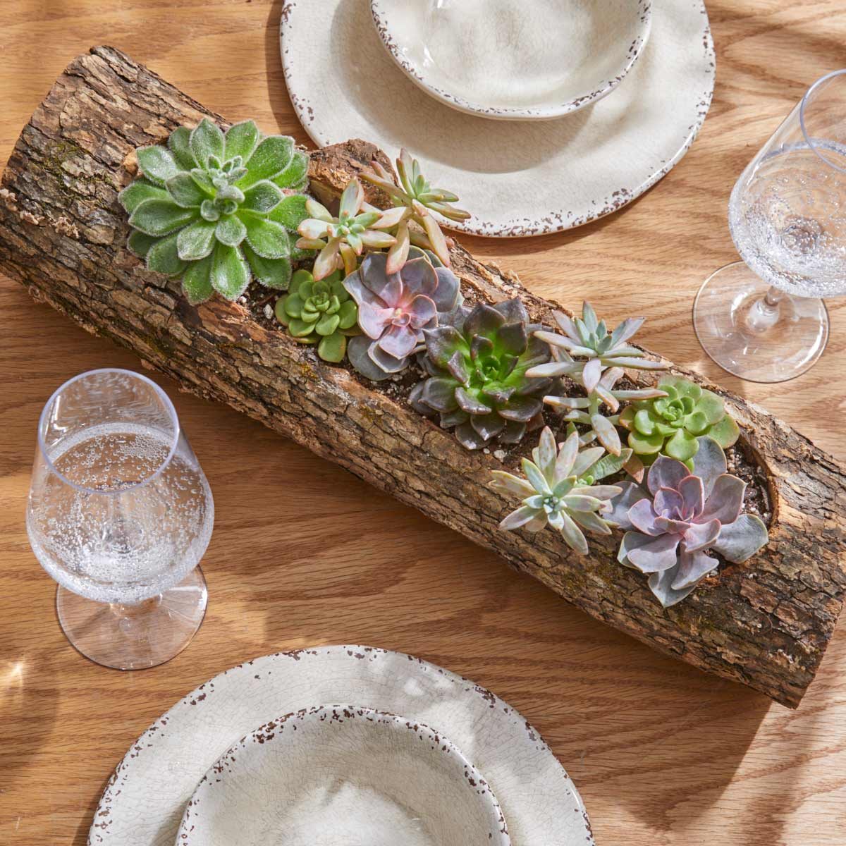 completed shot of succulent log planter above