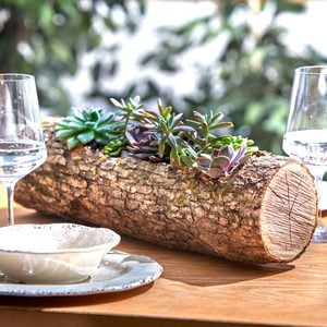 How to Make a Wood Log Planter for Succulents