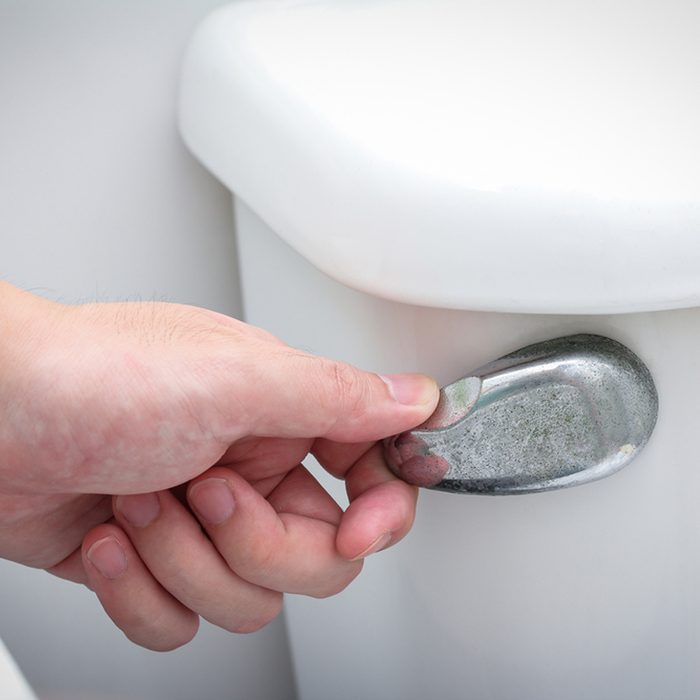 toilet flush handle