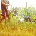Do You Really Need to Winterize Your Lawn Mower?