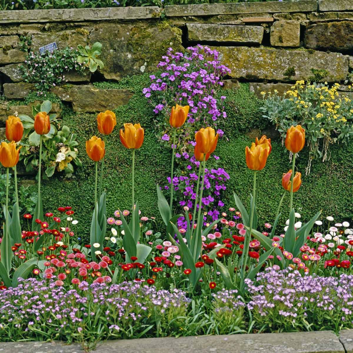 small yard landscaping ideas with colorful flowers of varying sizes