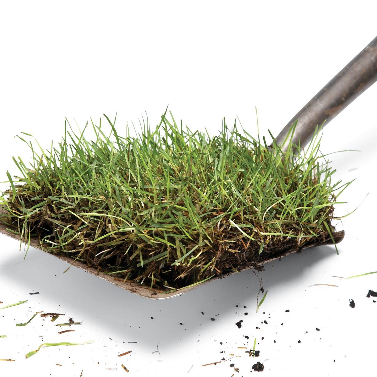 shovel sod grass remove sod