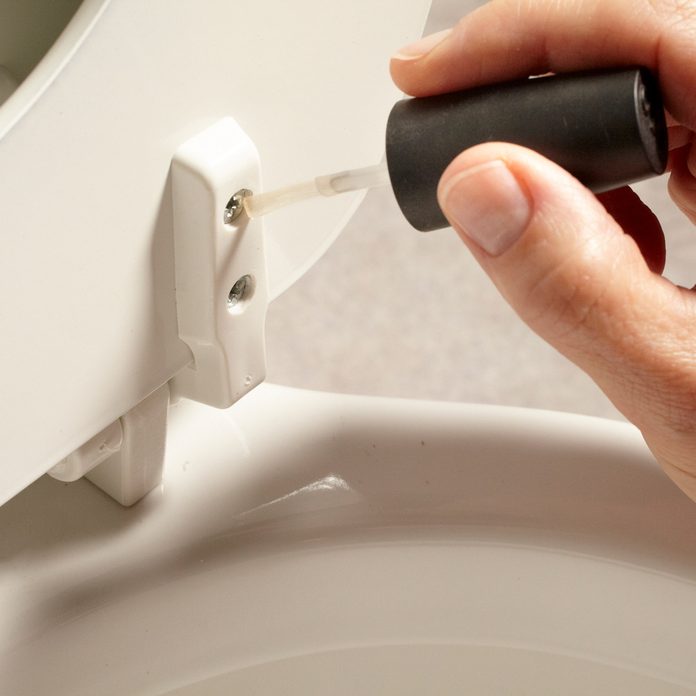 How to Clean Corroded Toilet Seat Hinges, 