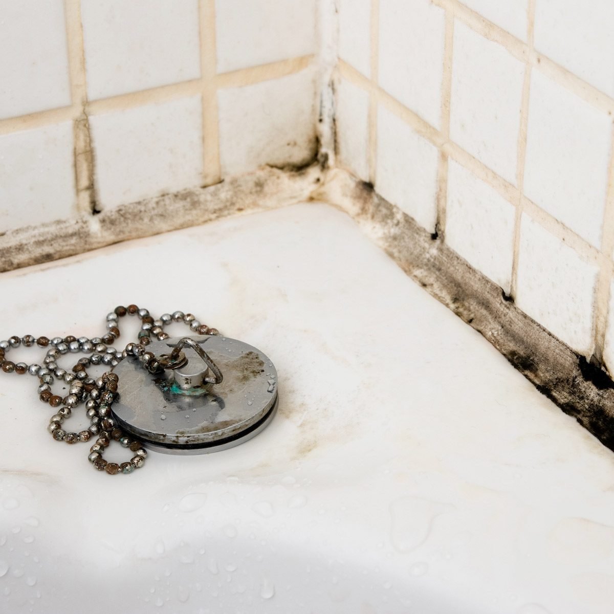 How To Prevent Bathroom Mold The Family Handyman