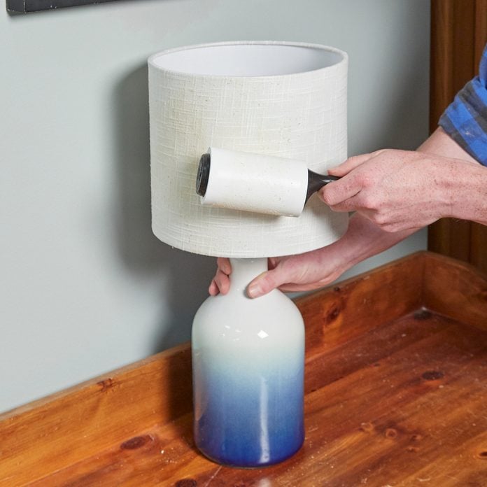 Lampshade Lint Roller HH