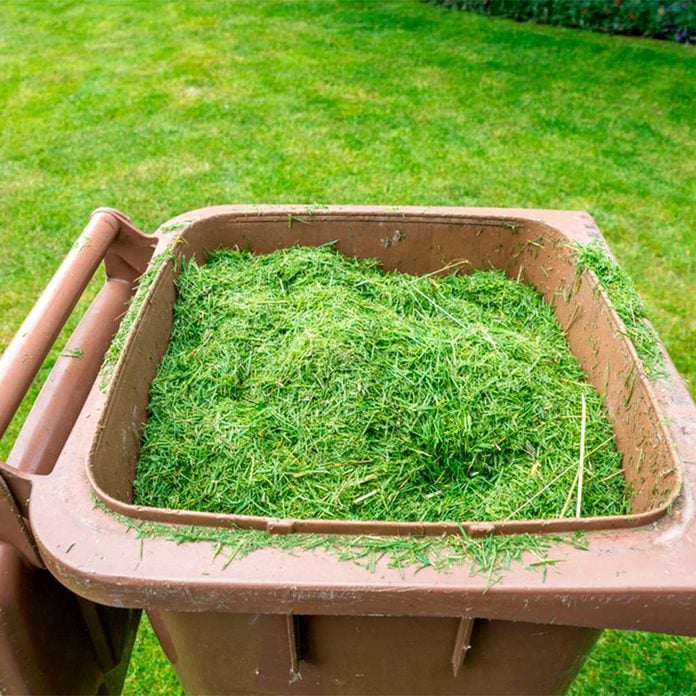 bin of grass clippings