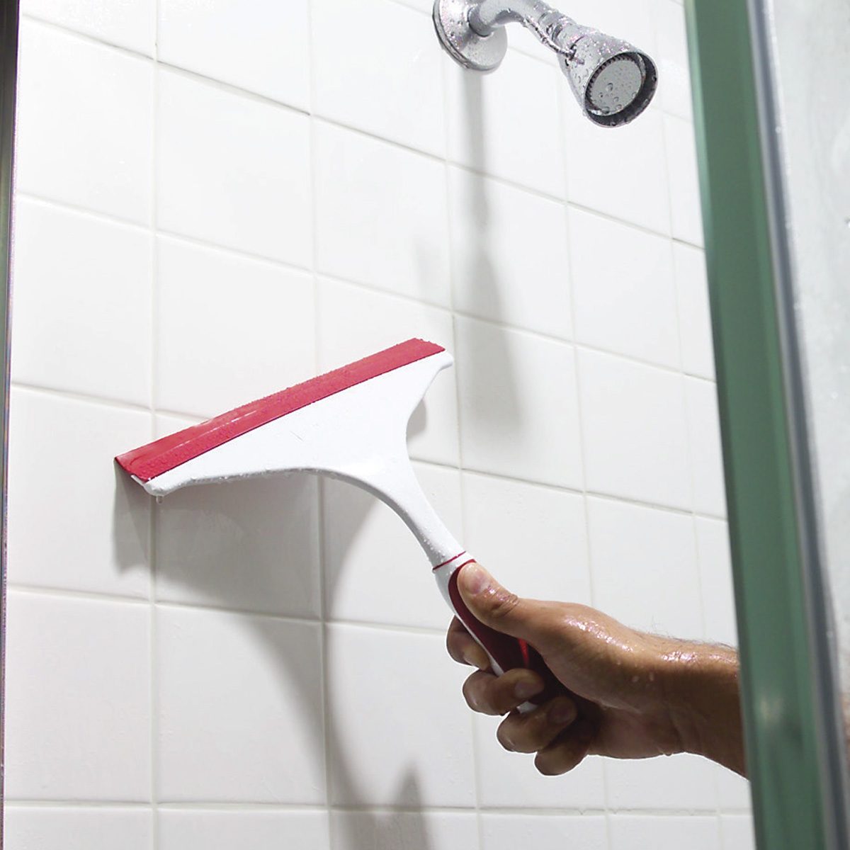 How to Prevent Bathroom Mold The Family Handyman
