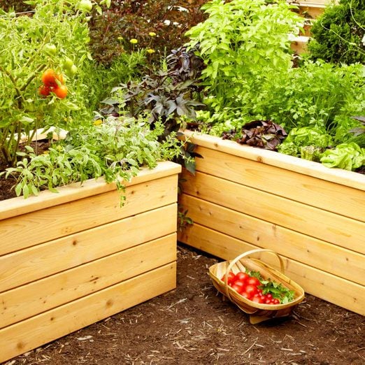 Build Self Watering Planters Diy, Self Watering Garden Beds Diy