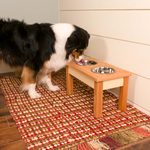 7 Amazing Woodworking Projects You Can Make for Your Pet