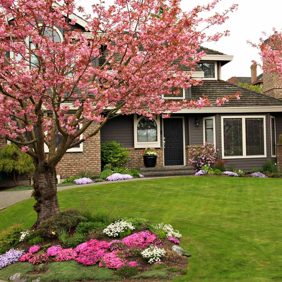 10 Tips for Landscaping Around Trees | Family Handyman