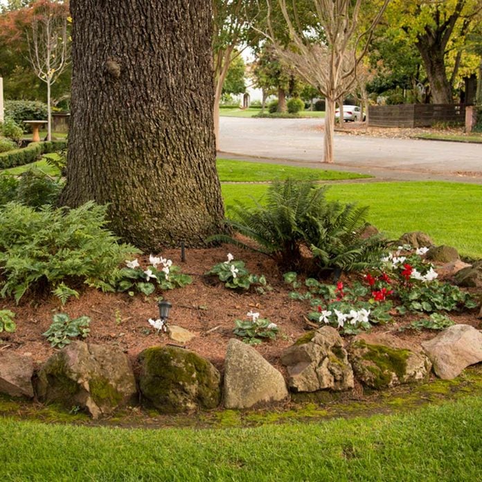 10 Tips For Landscaping Around Trees, Landscaping Ideas Around Trees Pictures