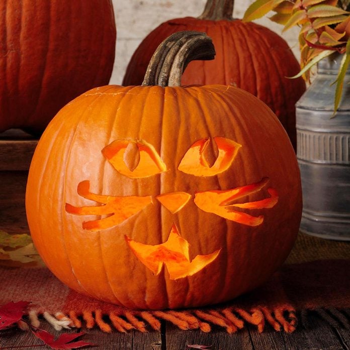 classic cat jack o'lantern pumpkin halloween