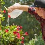 How to Turn an Empty Milk Jug Into a Watering Can