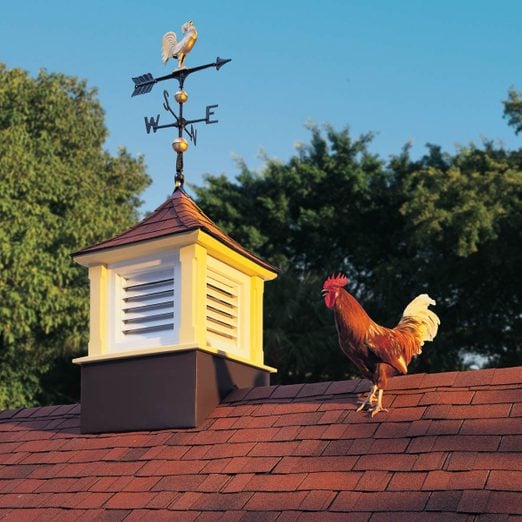 barn cupola shed cupola