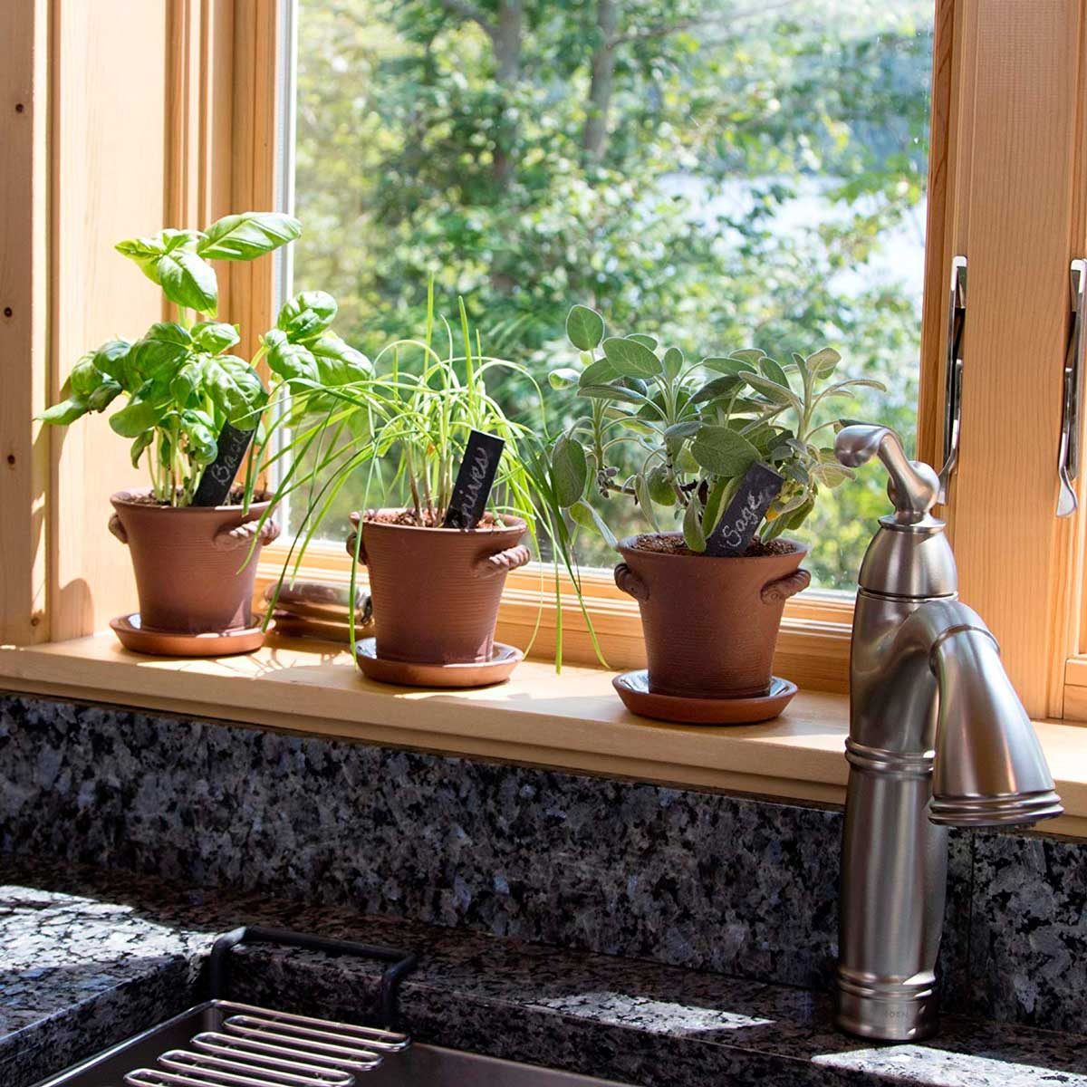 10 Charming Indoor Herb Garden Planters Family Handyman