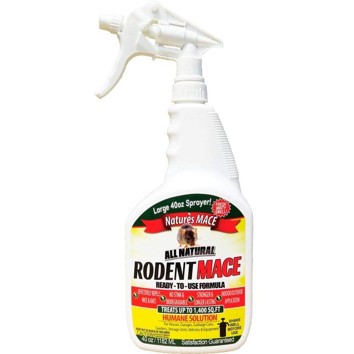 Best Mouse Repellents