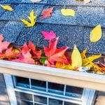 How to Get Your Gutters Ready for Fall and Winter