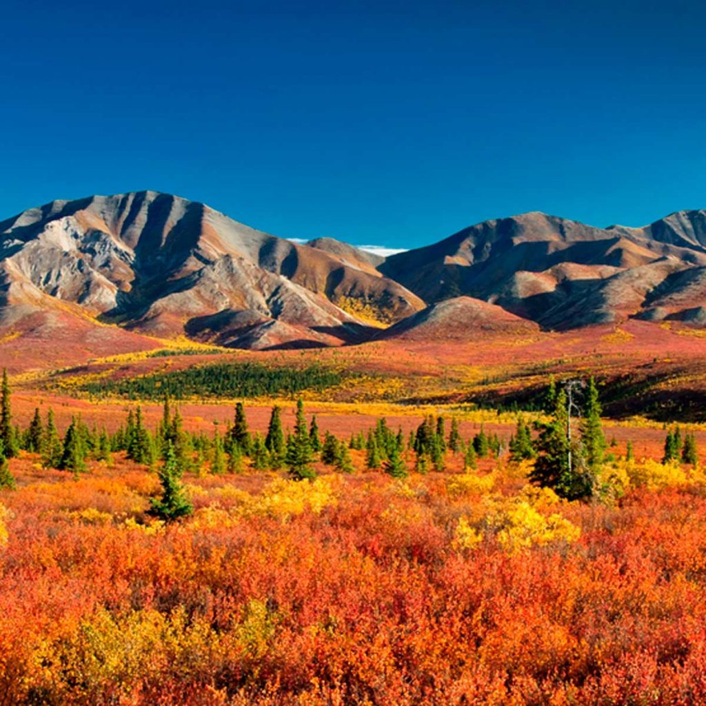 15 Best Places to See Fall Colors in the U.S. | Family Handyman | The ...