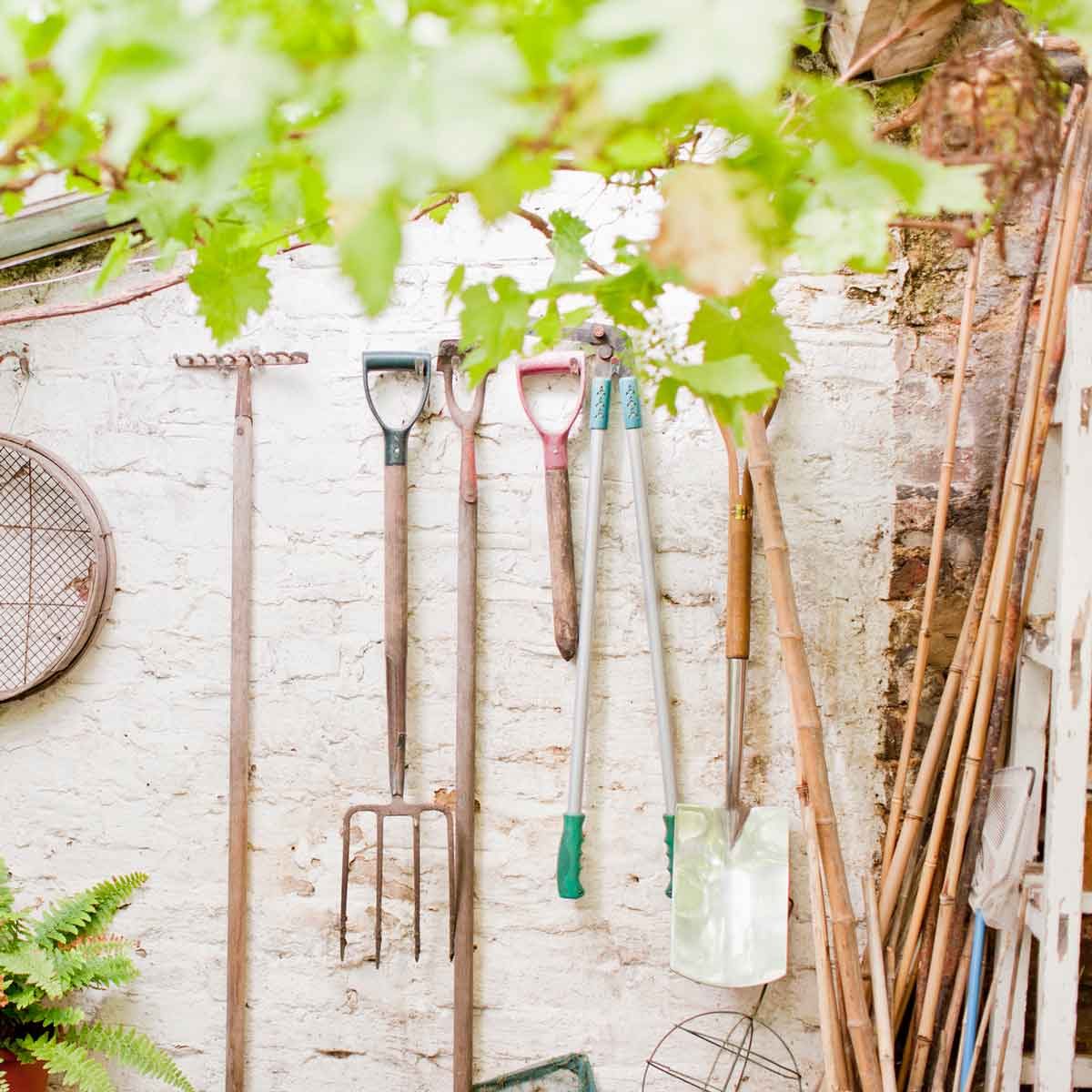 Best Garden Tools