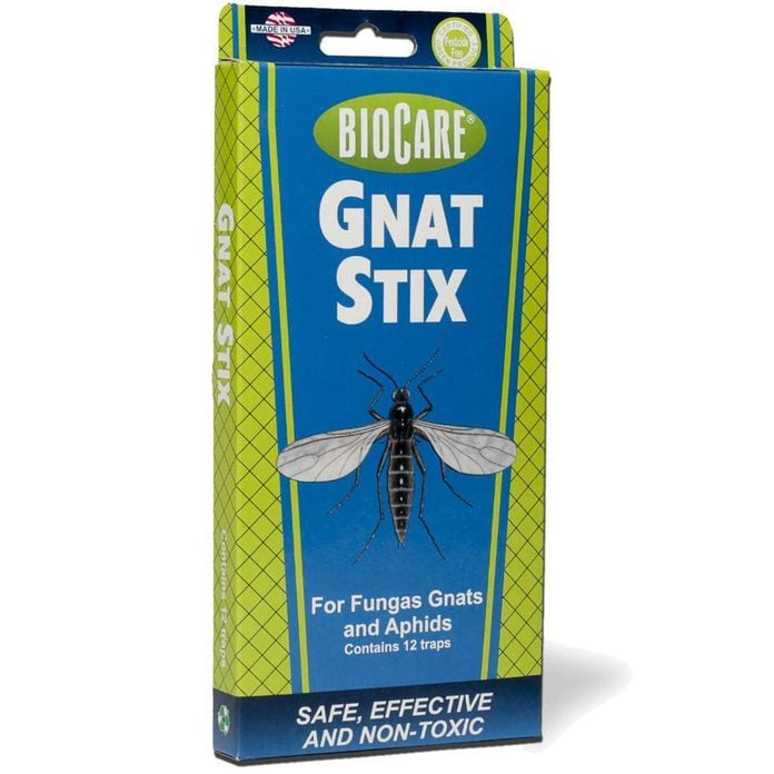 gnat trap  Operation Home