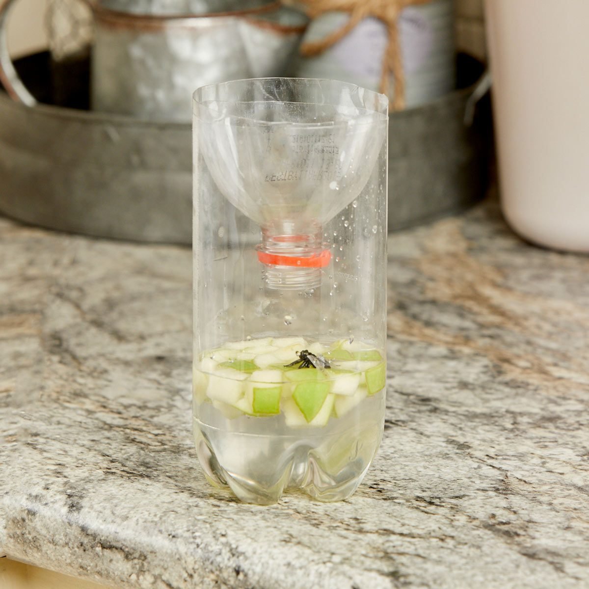 HH handy hint soda bottle fly trap apple chunks