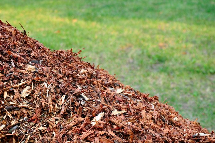 Mulch on grass, nature biomass.