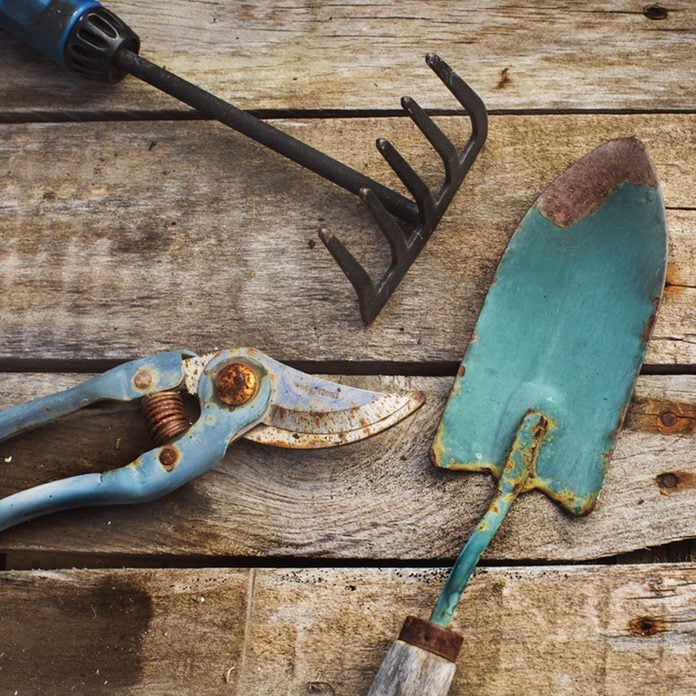 Old garden tools; Shutterstock ID 526126981