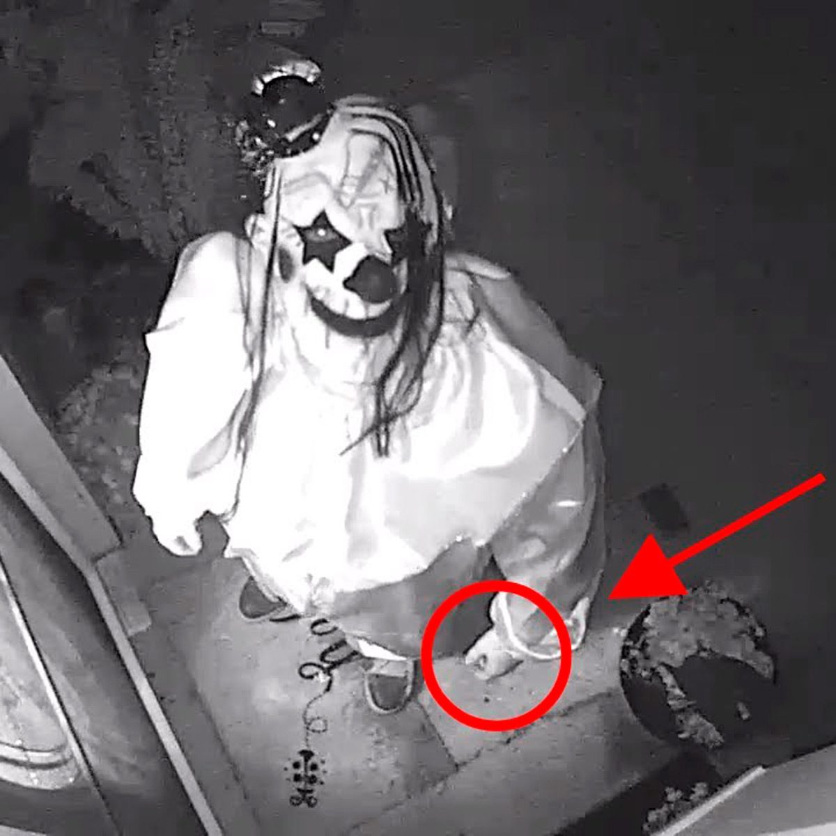 Oh, The Surprising Things You'll See Through a Ring Doorbell