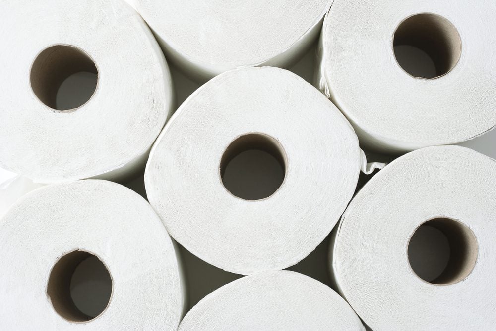 Price of Toilet Paper for the Planet, Magazine Articles