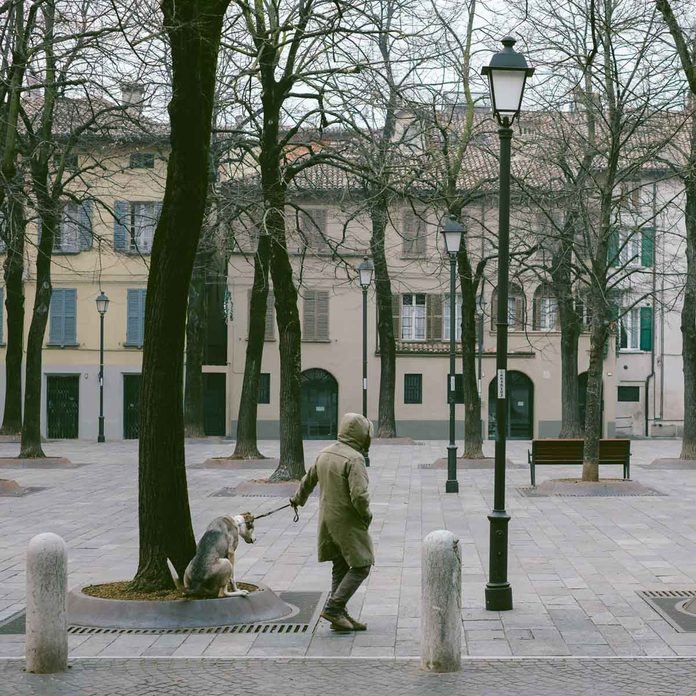 Dog Poop Near Street Lamp