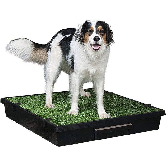 Dog Potty Mat