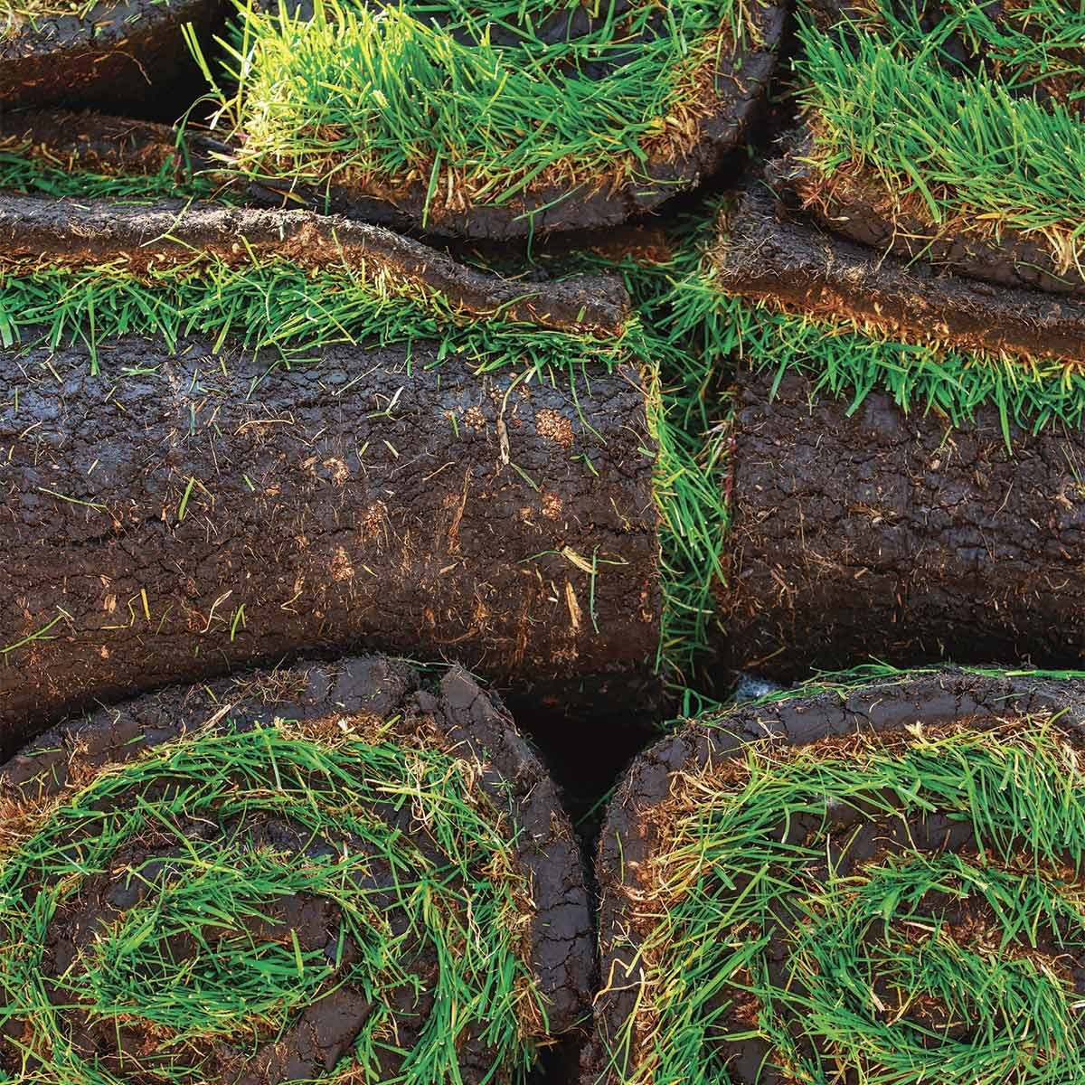 How to Prep for Sod Installation