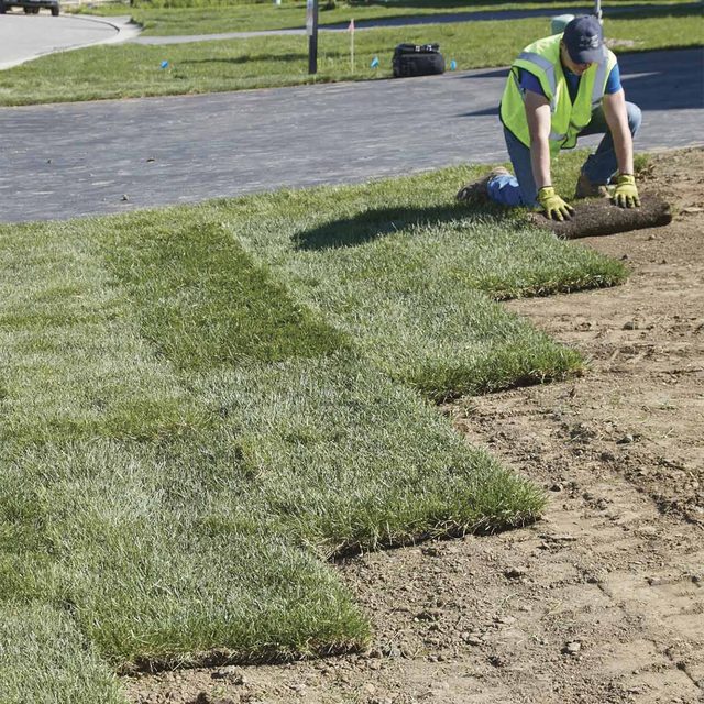 laying sod