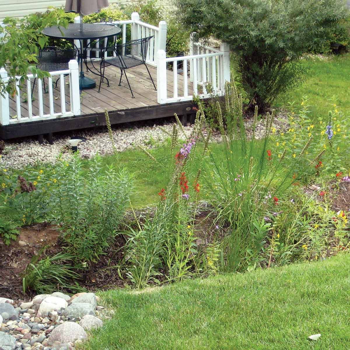 6 Common Lawn Problems and Solutions