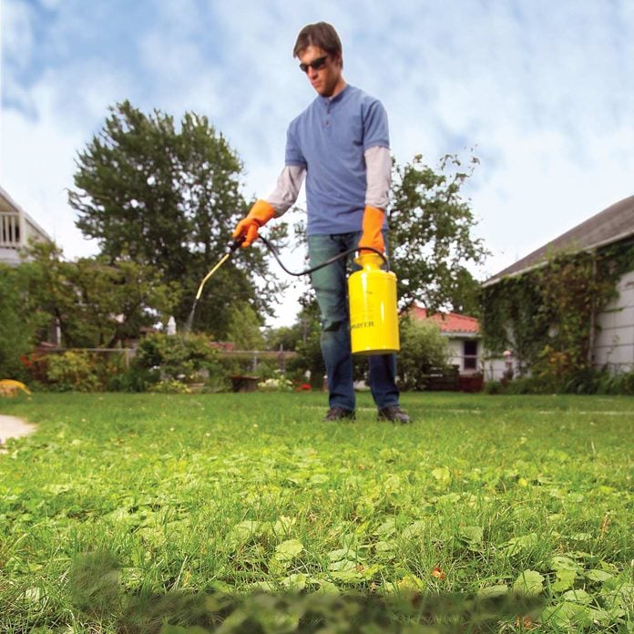 how to get rid of weeds in lawn - man spraying weed killer