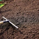 New Homeowner’s Guide To Soil