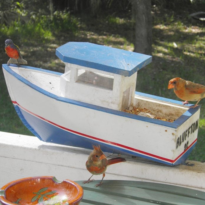Bird-Feeder-Boat
