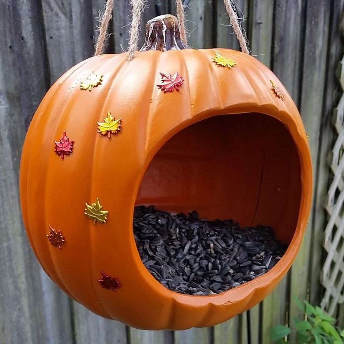 Pumpkin-Bird-Feeder