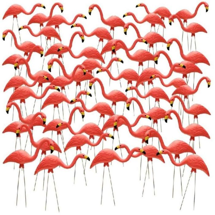 A 50 Pack of Pink Flamingos