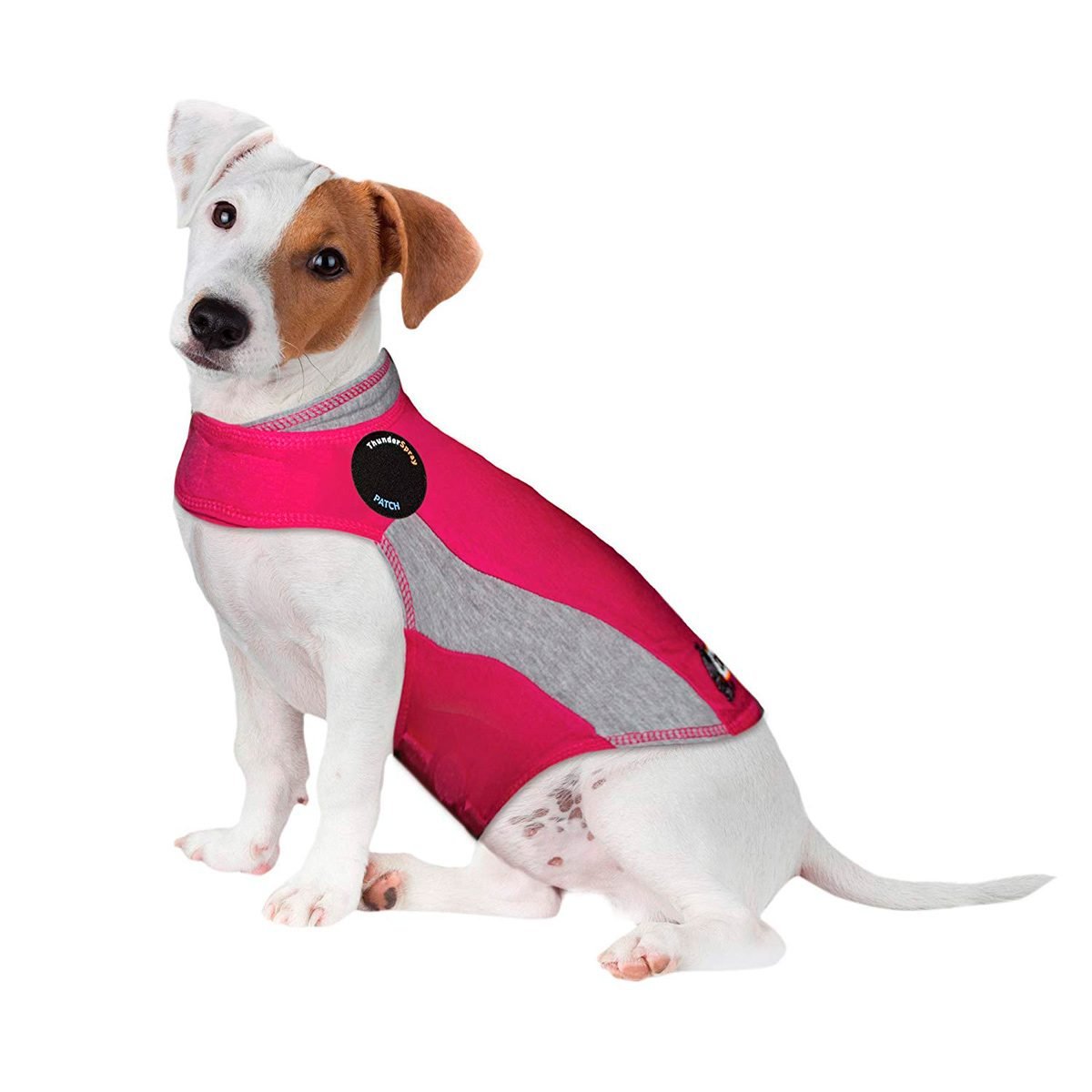 3-Level Adjustable Compression Thunder Shirt for Dogs and Cats NeoAlly Dog Thunder Jacket Anxiety Calming Vest with Most Torso Coverage Including Chest for Best Calming Effect 