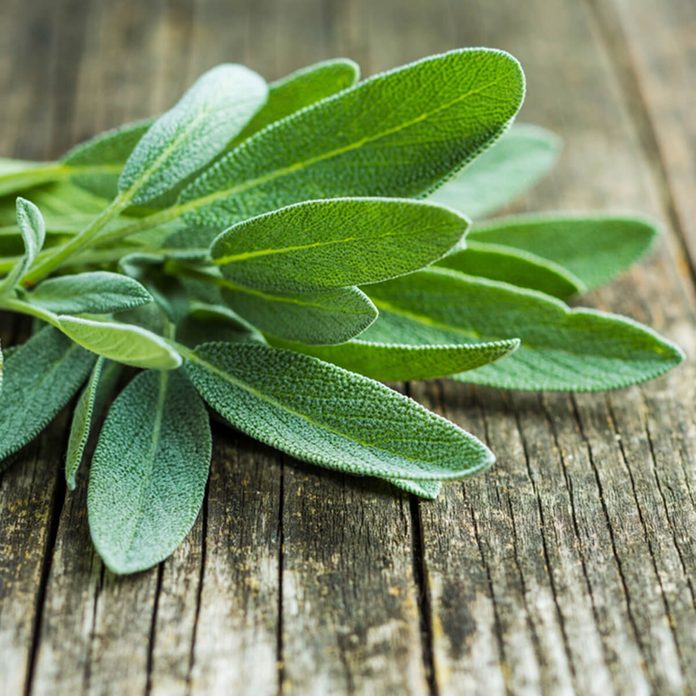 Sage leaves on old wooden table.