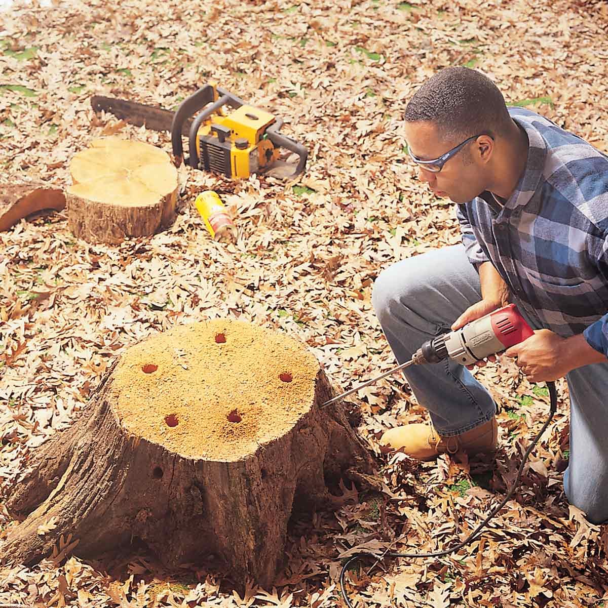 stump painlessly