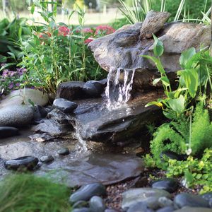 How to Build a Water Feature That’s Low Maintenance