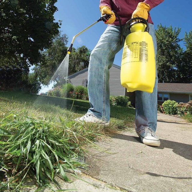 How to kill crabgrass