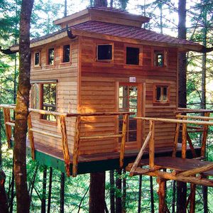 treehouse building tips Vertical Horizons Tree House Paradise