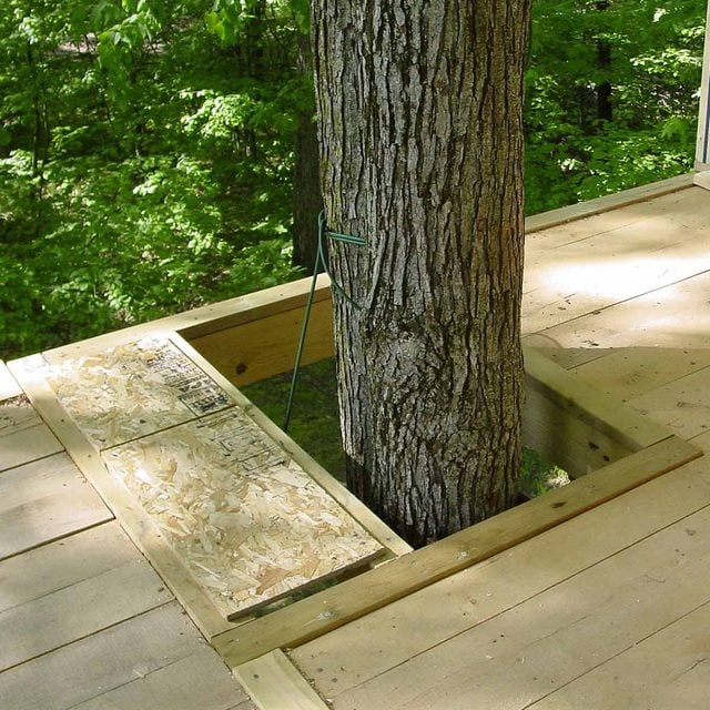 treehouse building tips leave gaps around the tree