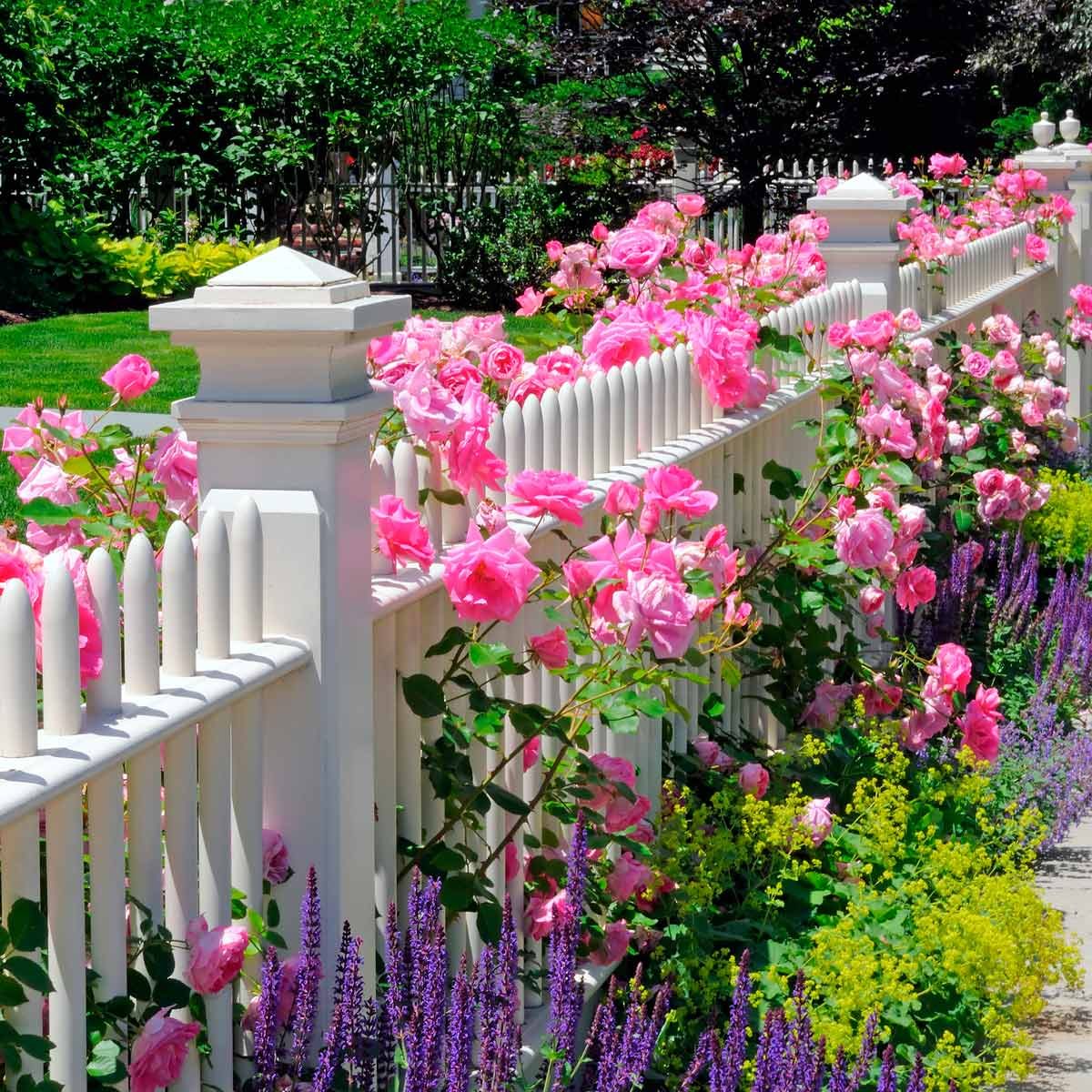 House With Flower Garden