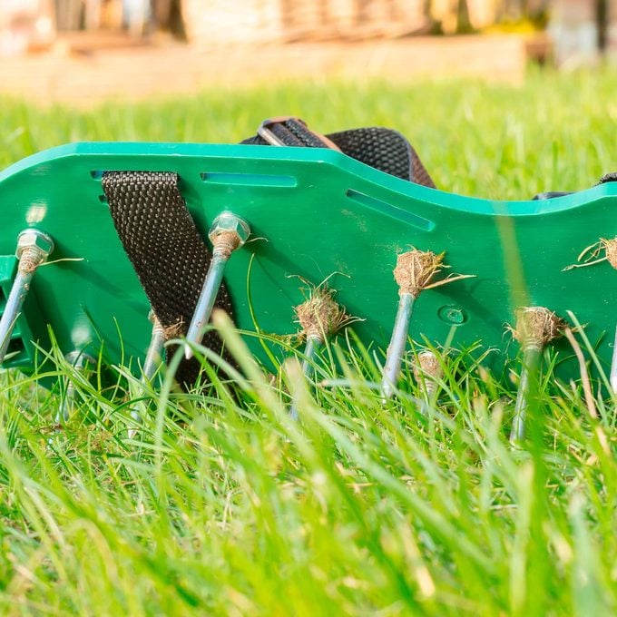 lawn aerator shoes