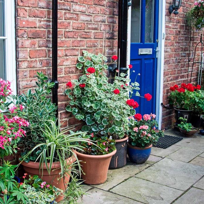 Flower Bed Ideas For The Front Of Your House Family Handyman - Front Of House Plant Ideas Uk