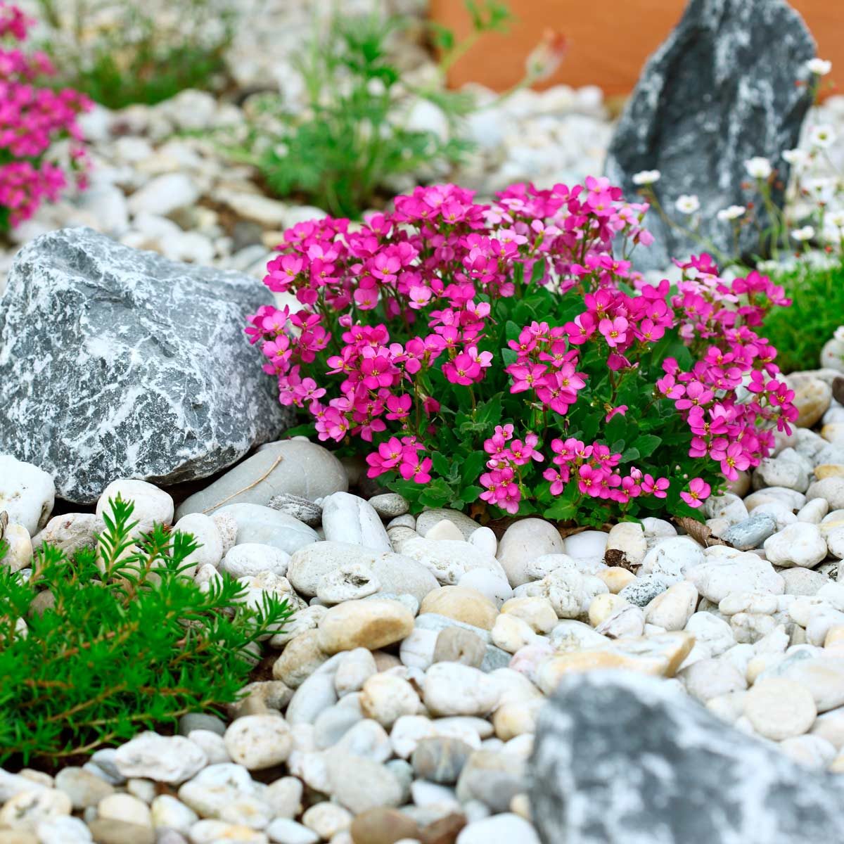 river rock flower bed